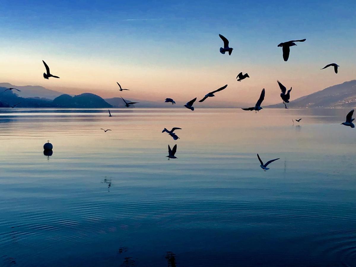 Privatzimmer Am Thunersee Apartman Leissigen Kültér fotó